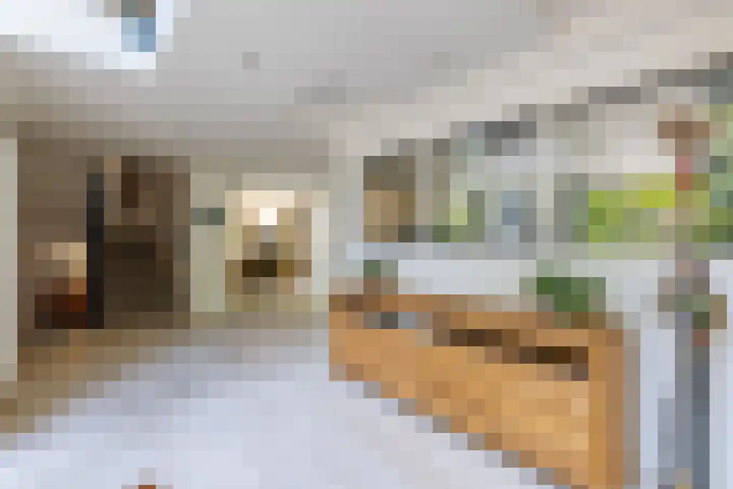 Van Driellaan 10 Huizen thumbnail 18