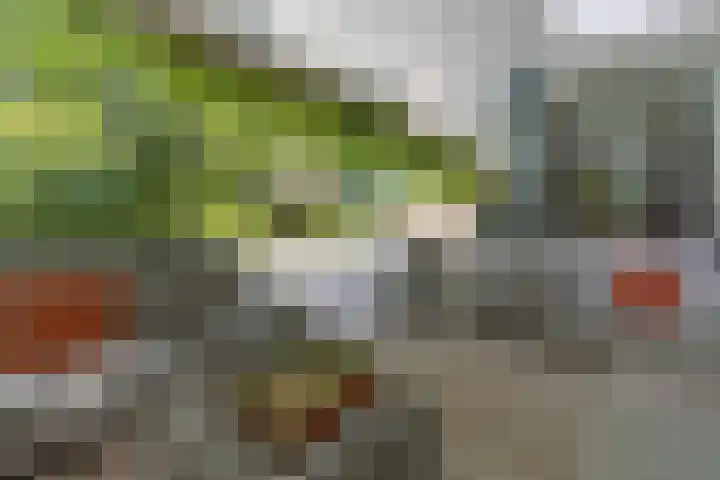 Van Driellaan 10 Huizen thumbnail 33