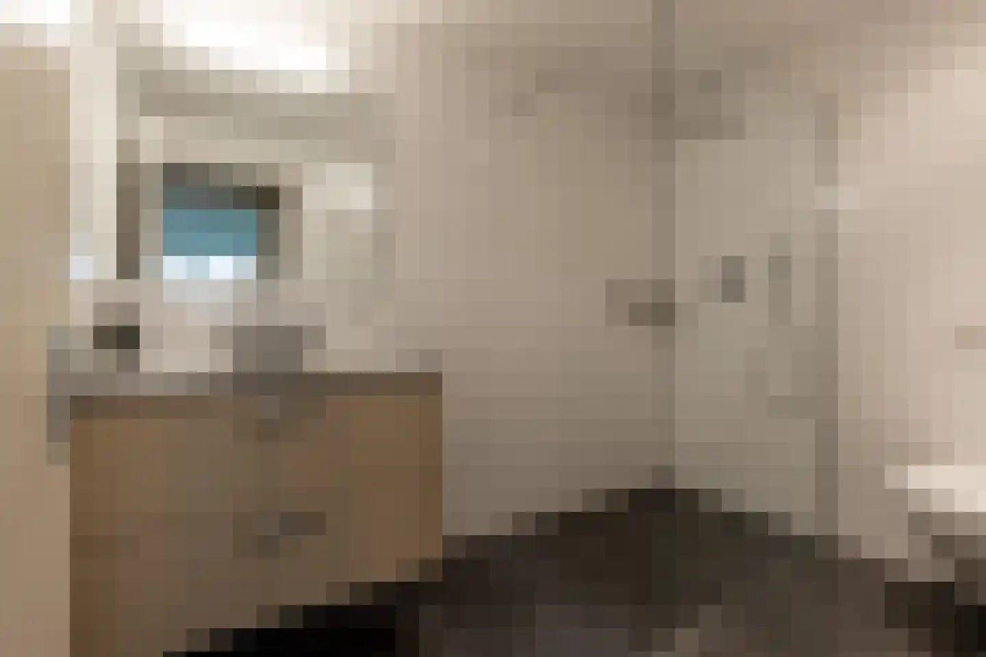 Van Driellaan 10 Huizen thumbnail 36