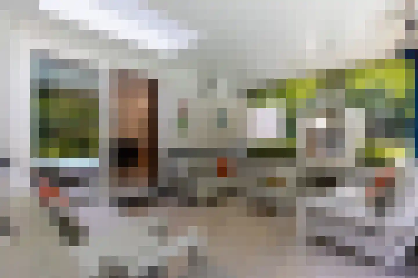 Van Driellaan 10 Huizen thumbnail 37