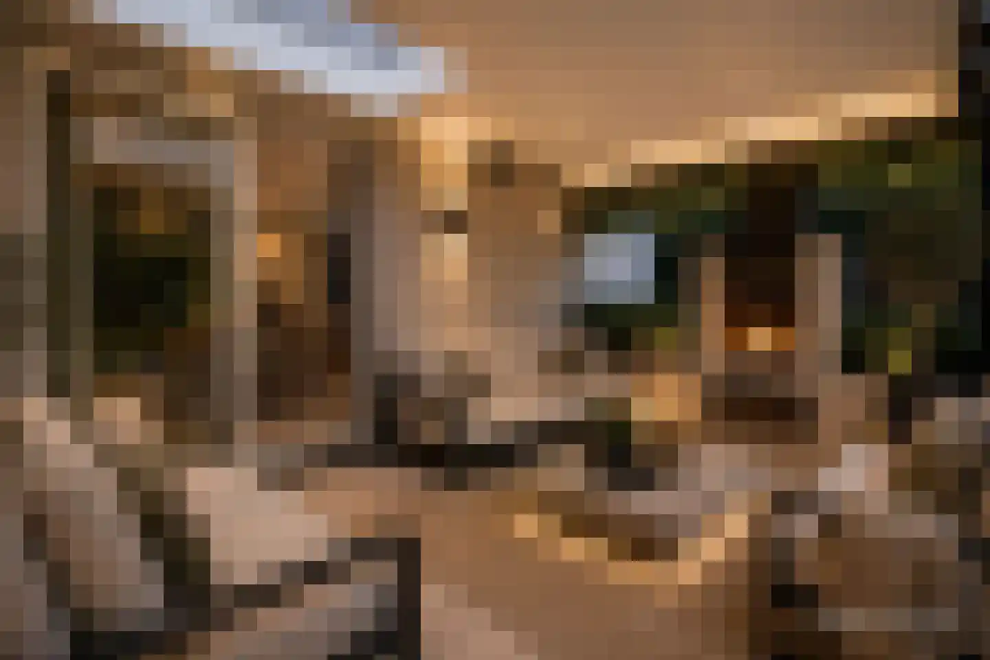 Van Driellaan 10 Huizen thumbnail 38
