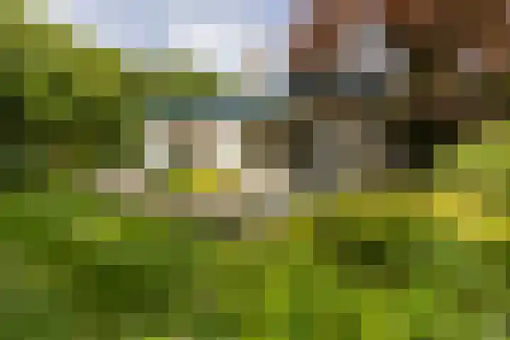 Van Driellaan 10 Huizen thumbnail 39