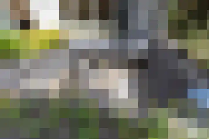 Van Driellaan 10 Huizen thumbnail 40