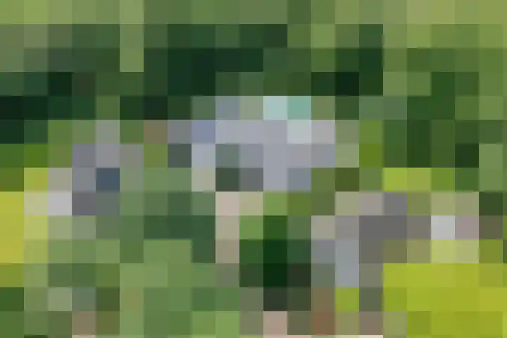 Van Driellaan 10 Huizen thumbnail 44