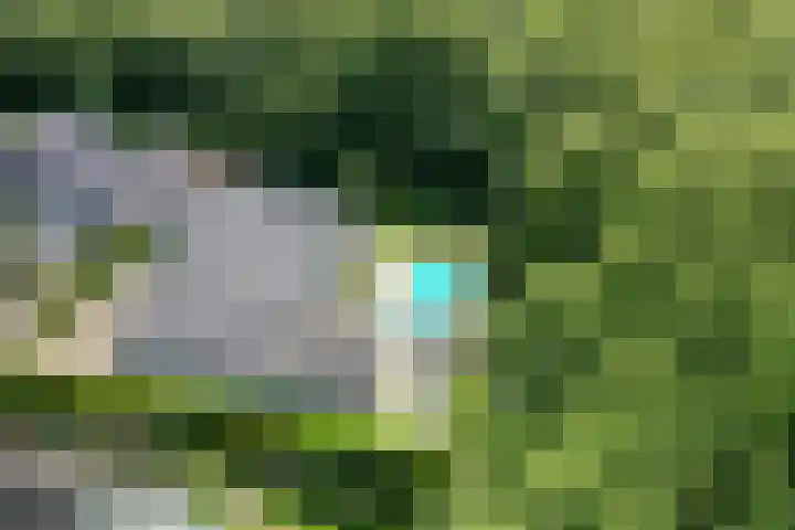 Van Driellaan 10 Huizen thumbnail 45