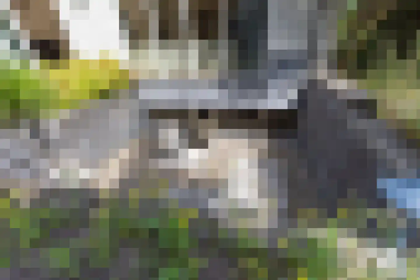 Van Driellaan 10 Huizen thumbnail 48