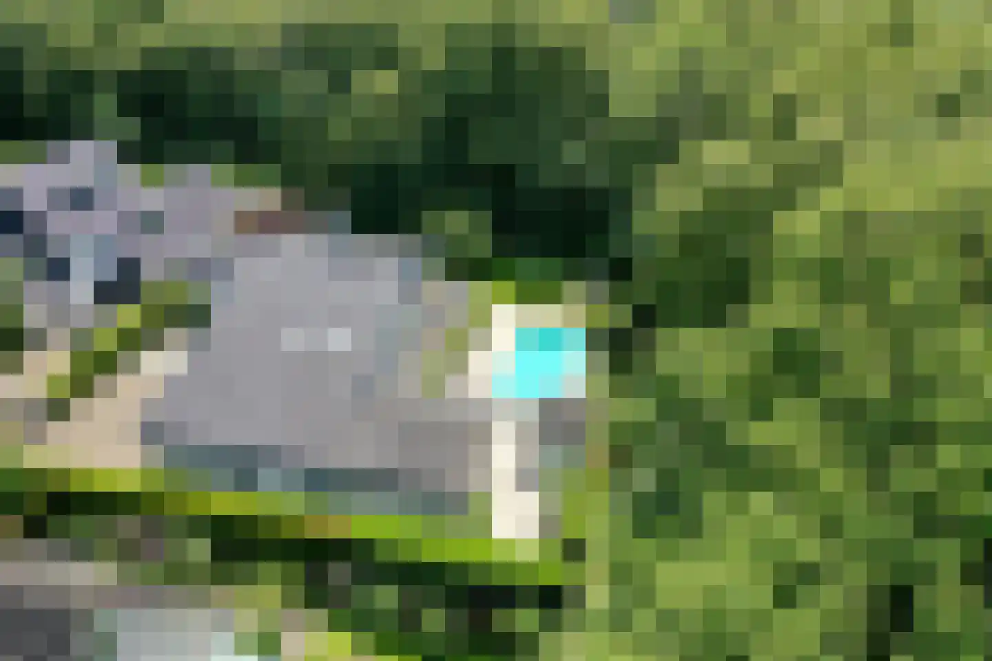 Van Driellaan 10 Huizen thumbnail 53