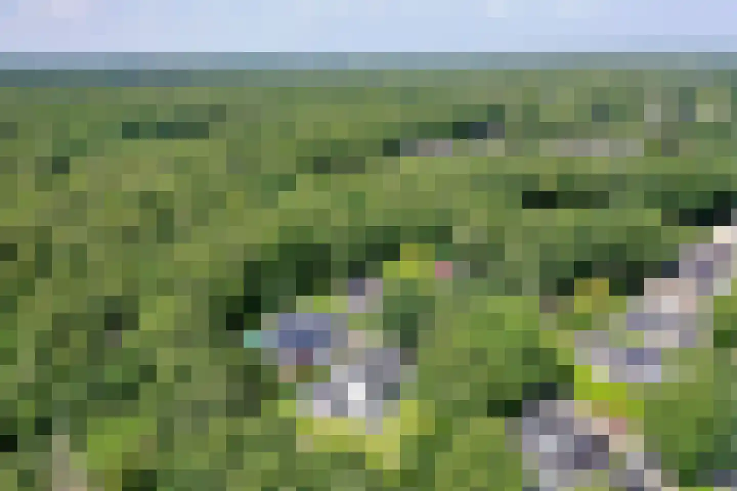 Van Driellaan 10 Huizen thumbnail 55