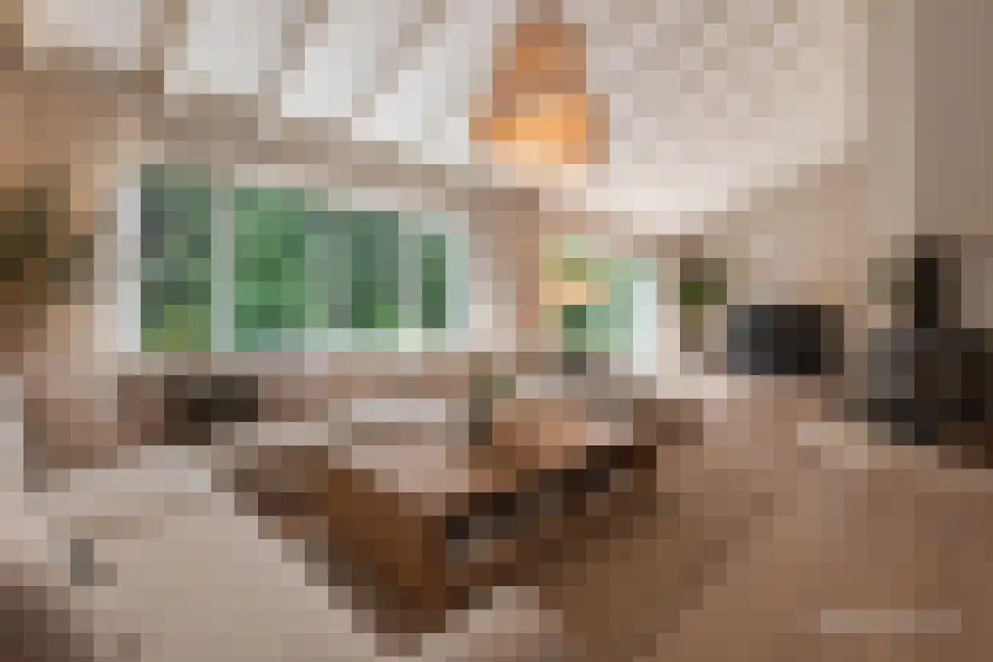 Van Driellaan 10 Huizen thumbnail 6