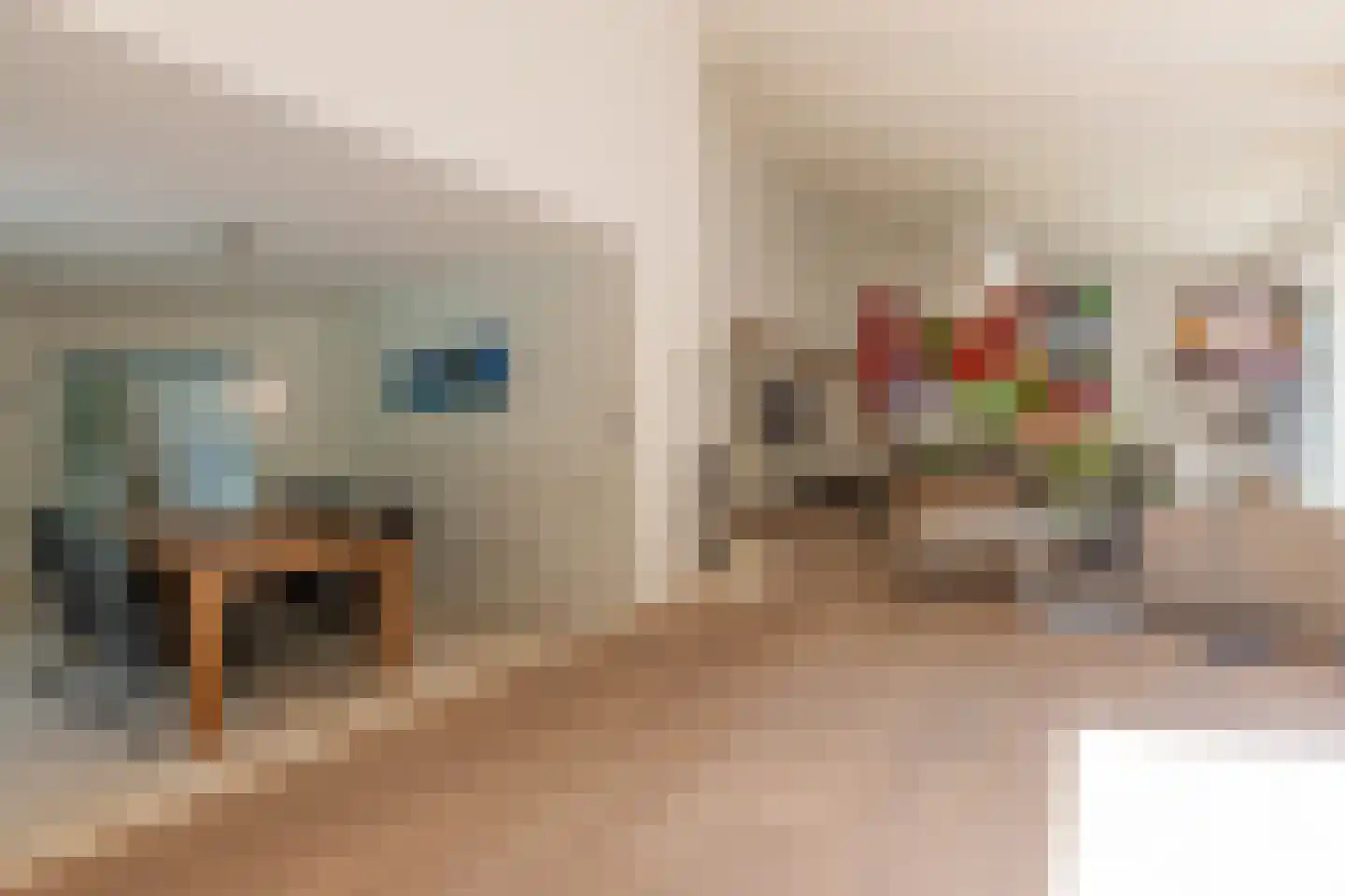 Van Driellaan 10 Huizen thumbnail 8