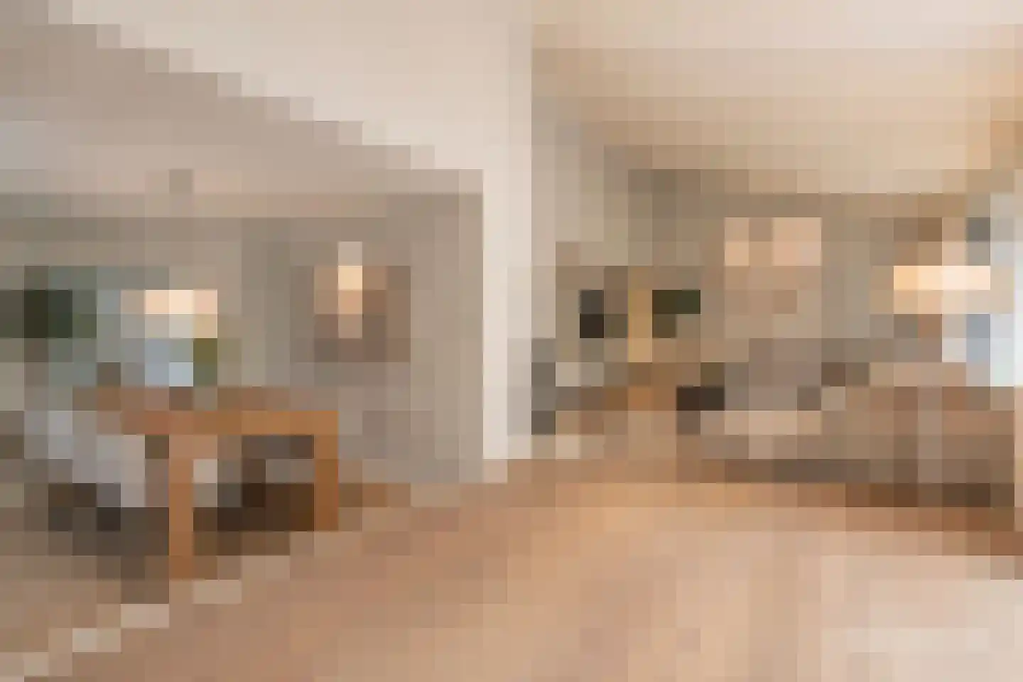 Van Driellaan 10 Huizen thumbnail 9