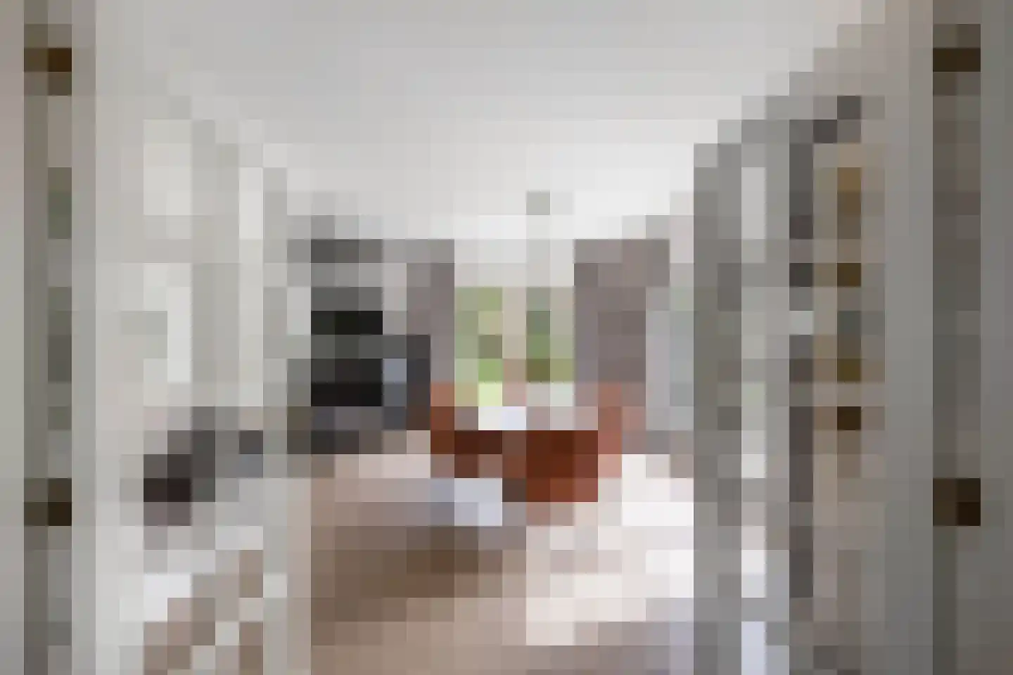Van Driellaan 11 Huizen thumbnail 10