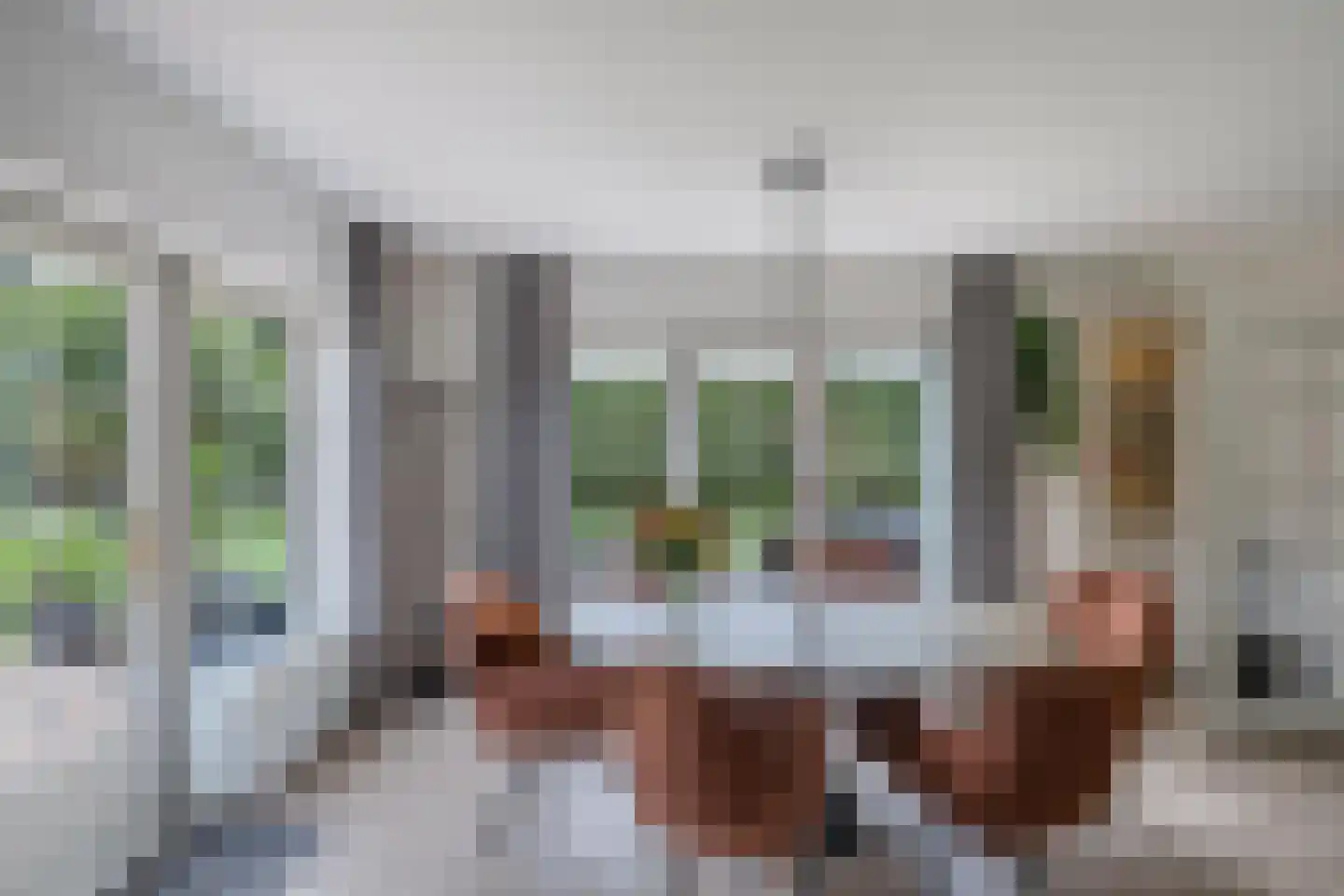 Van Driellaan 11 Huizen thumbnail 11