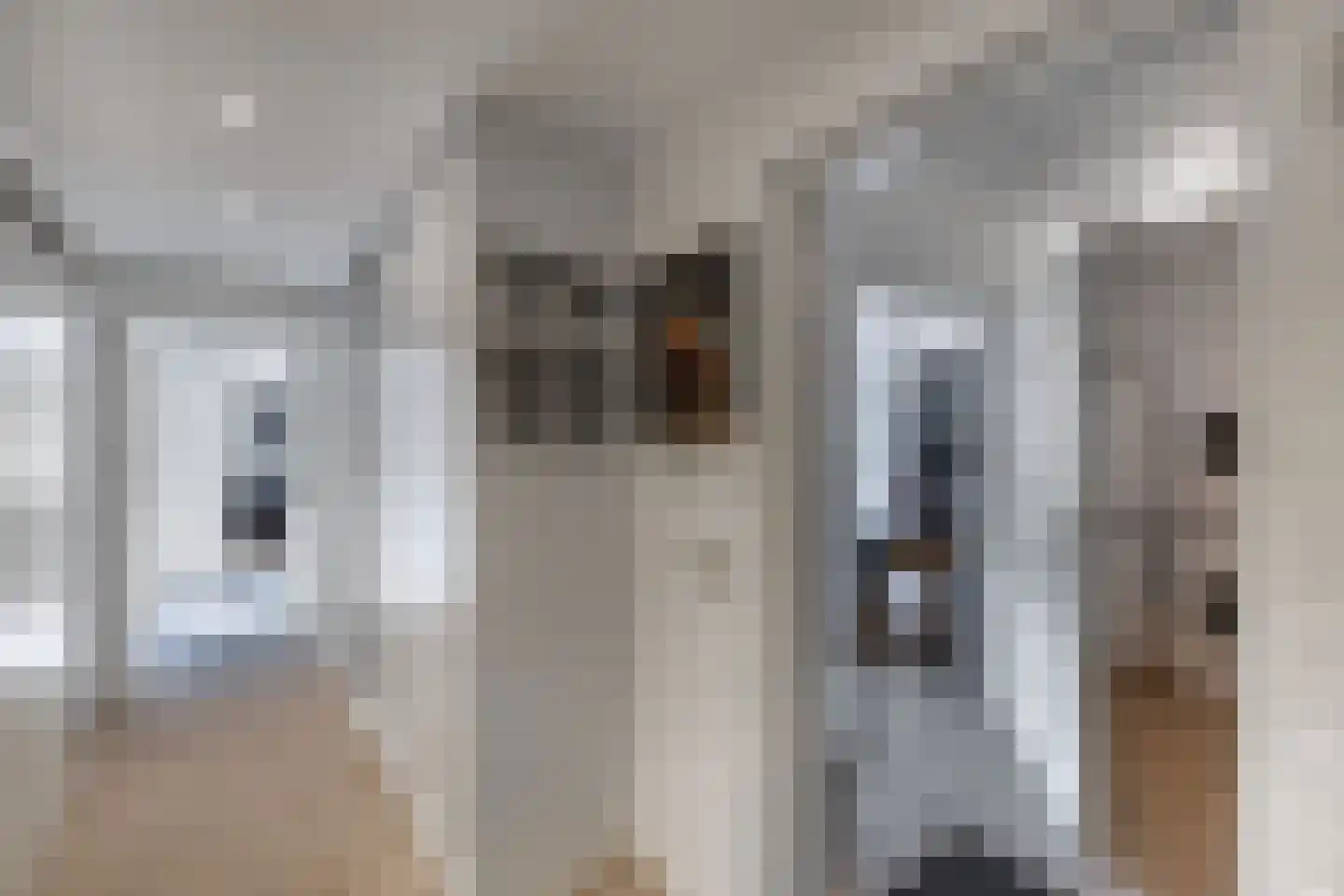 Van Driellaan 11 Huizen thumbnail 15