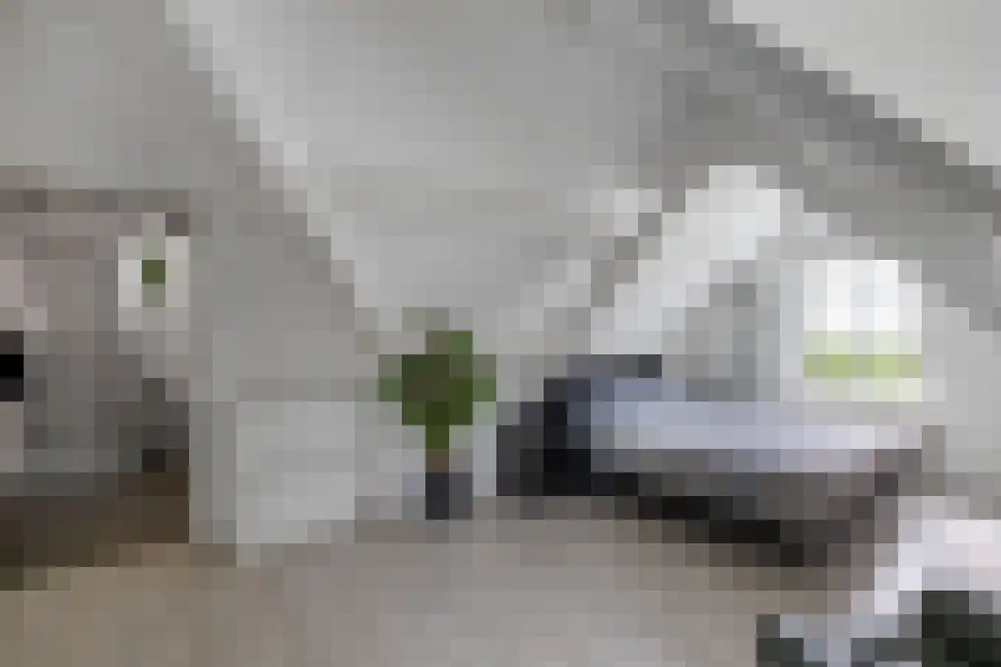 Van Driellaan 11 Huizen thumbnail 21