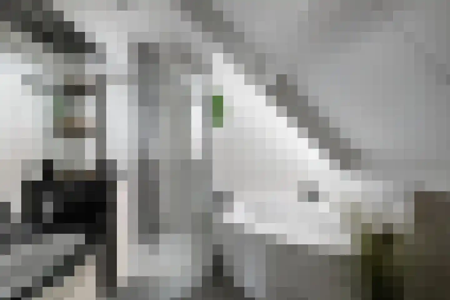 Van Driellaan 11 Huizen thumbnail 23