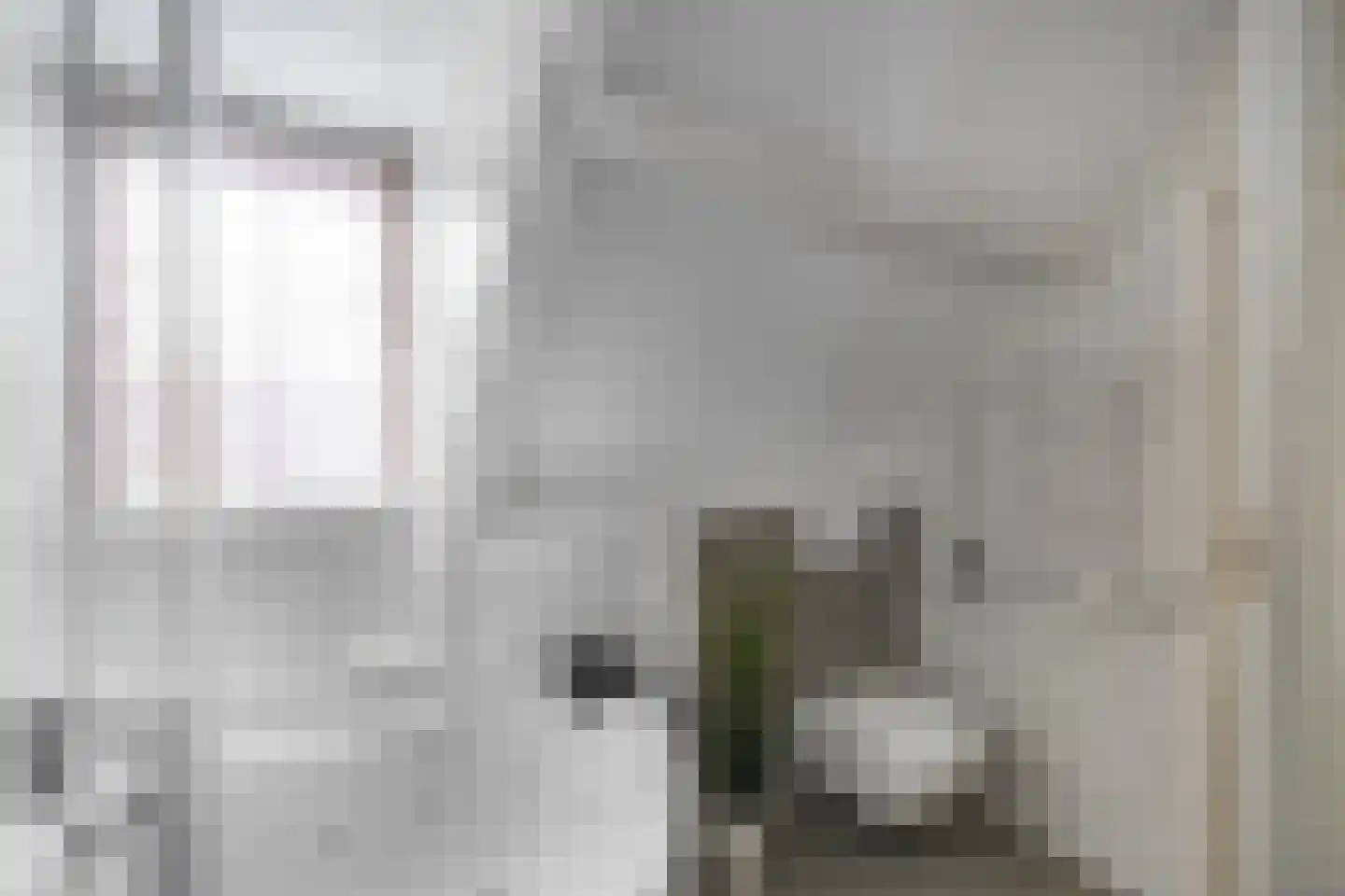 Van Driellaan 11 Huizen thumbnail 24