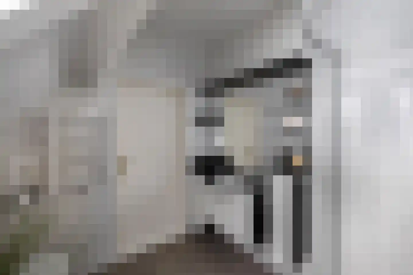 Van Driellaan 11 Huizen thumbnail 25