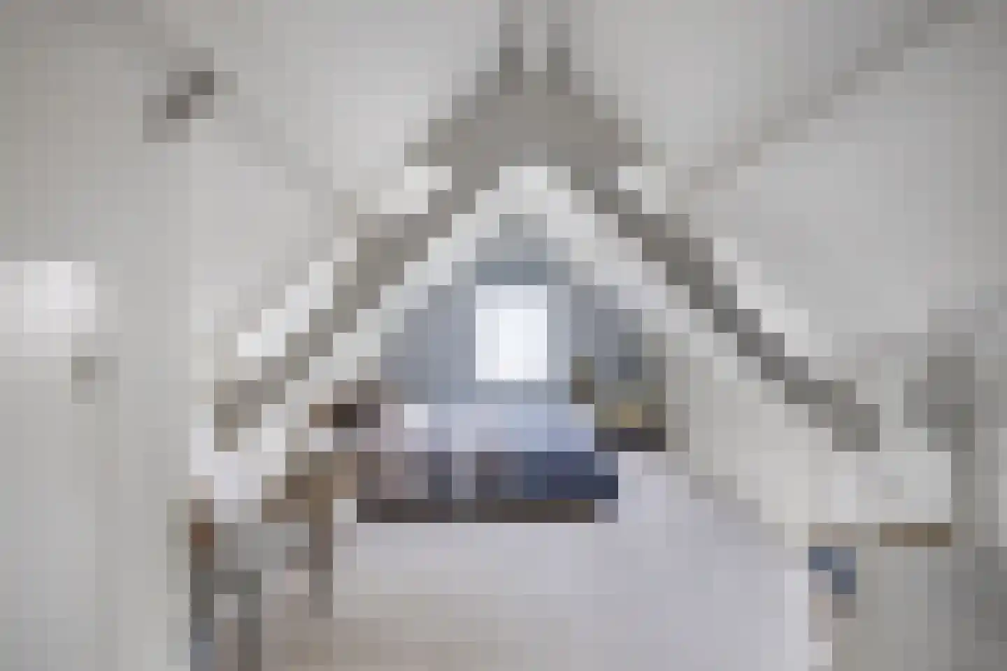 Van Driellaan 11 Huizen thumbnail 26