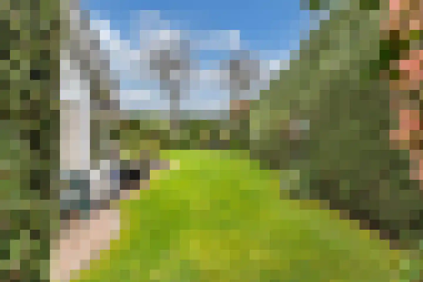 Van Driellaan 11 Huizen thumbnail 31