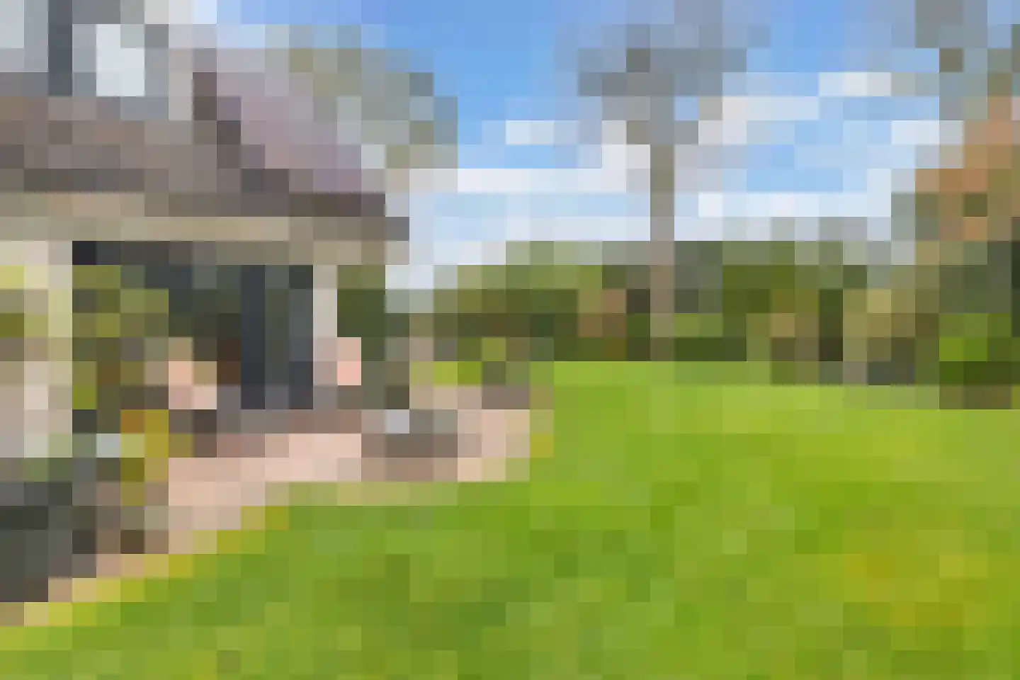 Van Driellaan 11 Huizen thumbnail 32