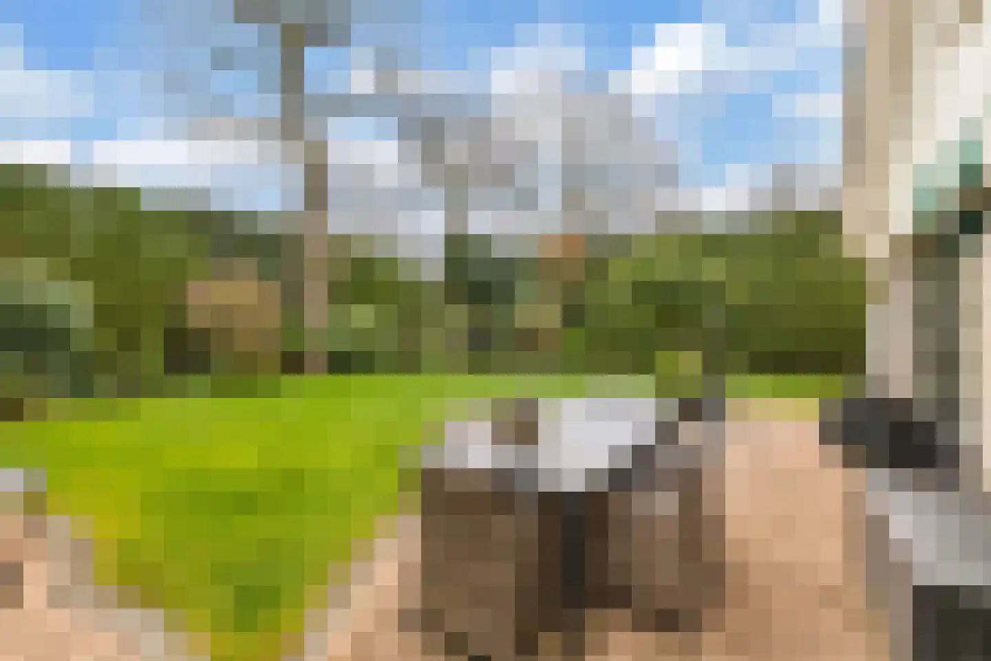 Van Driellaan 11 Huizen thumbnail 36