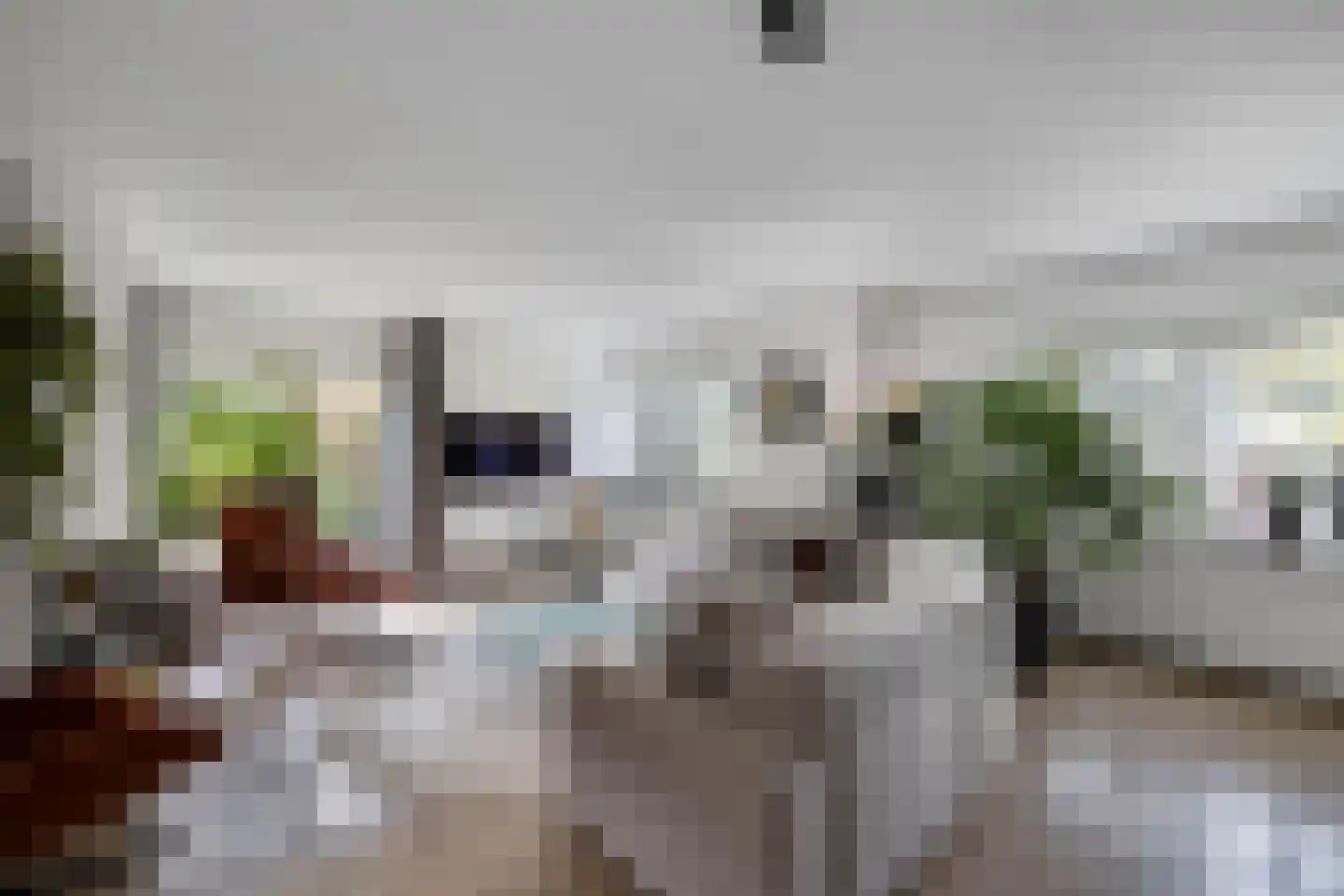 Van Driellaan 11 Huizen thumbnail 4