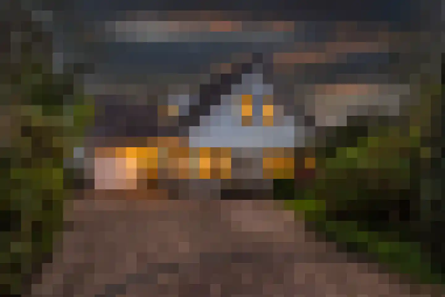 Van Driellaan 11 Huizen thumbnail 43