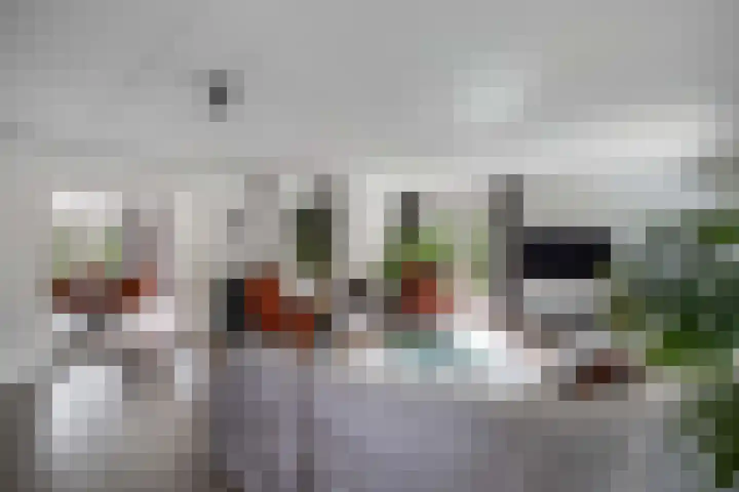 Van Driellaan 11 Huizen thumbnail 5