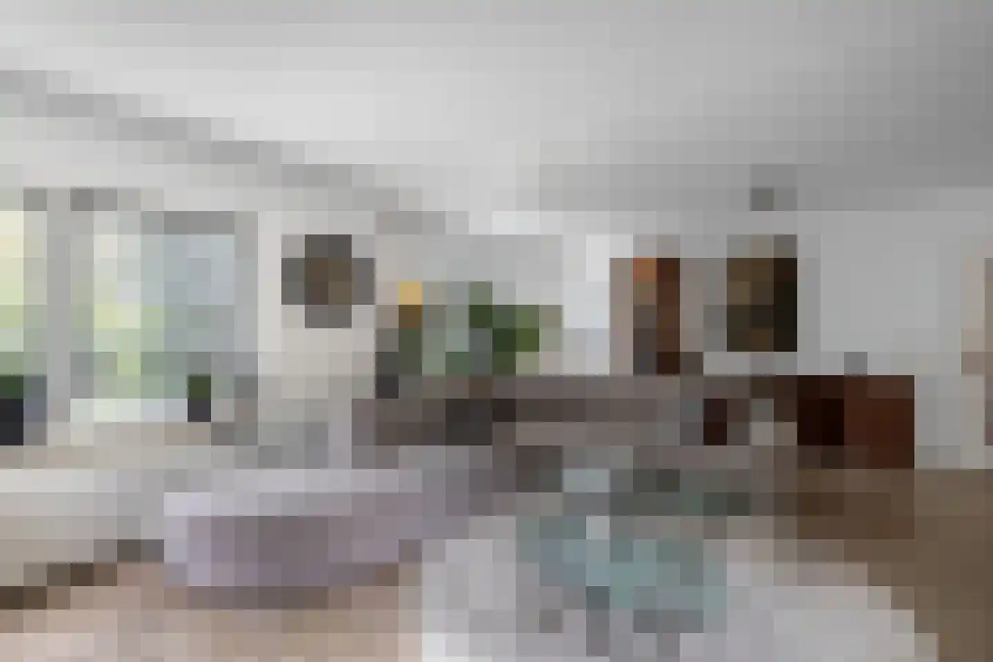Van Driellaan 11 Huizen thumbnail 7