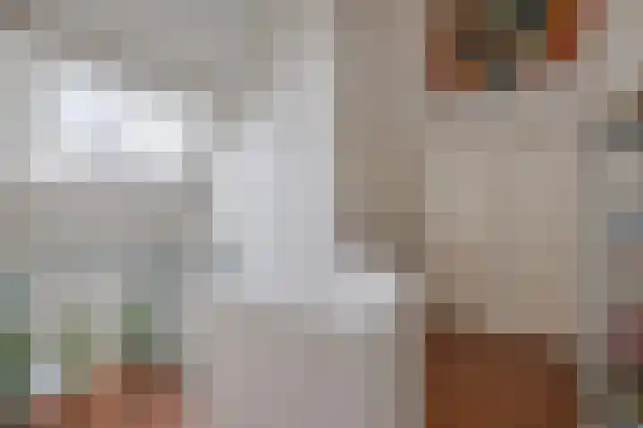 Van Driellaan 7 Huizen thumbnail 14