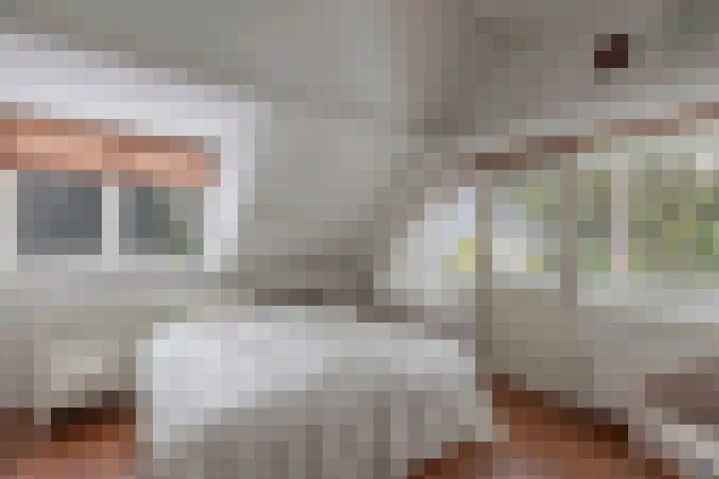 Van Driellaan 7 Huizen thumbnail 15
