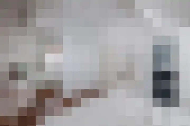 Van Driellaan 7 Huizen thumbnail 16