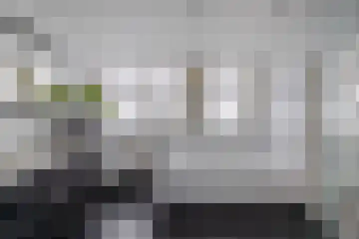 Van Driellaan 7 Huizen thumbnail 17