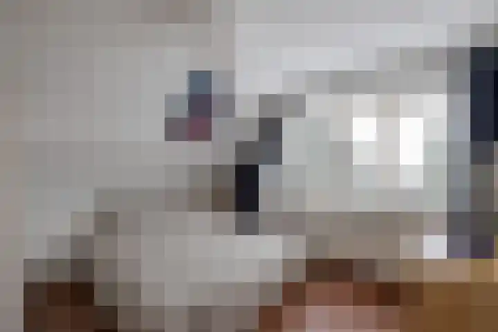 Van Driellaan 7 Huizen thumbnail 19