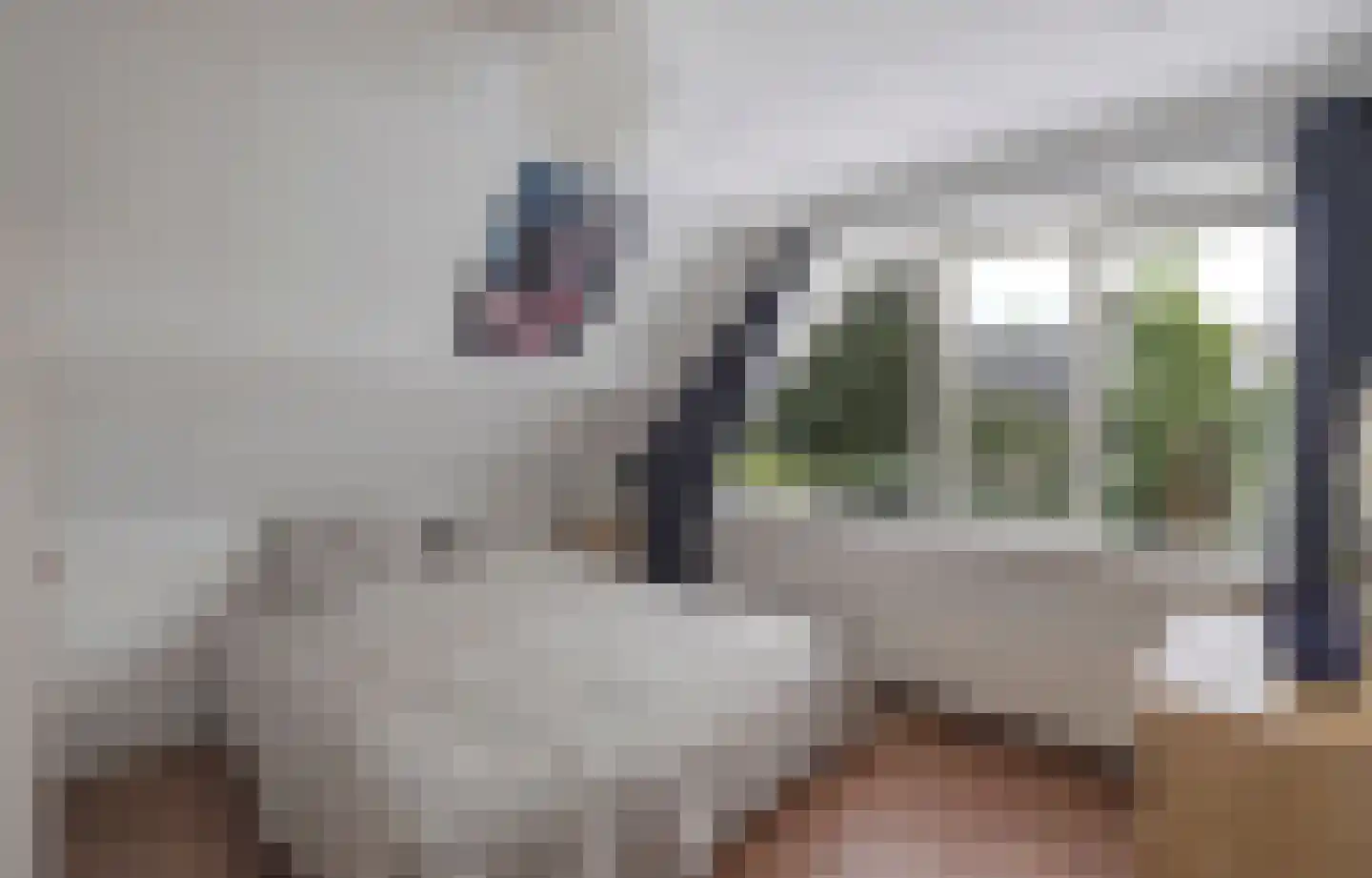 Van Driellaan 7 Huizen thumbnail 19