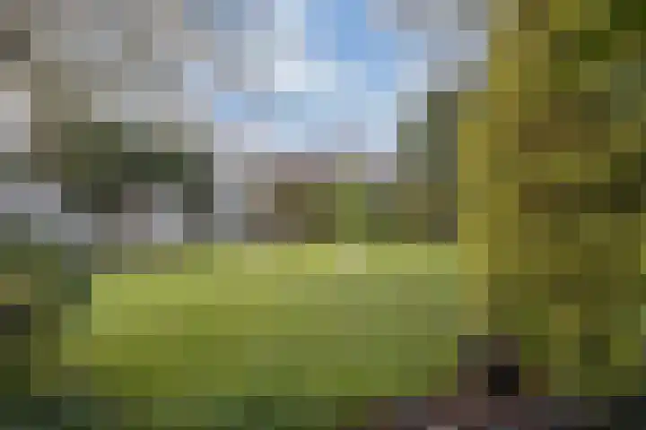 Van Driellaan 7 Huizen thumbnail 28
