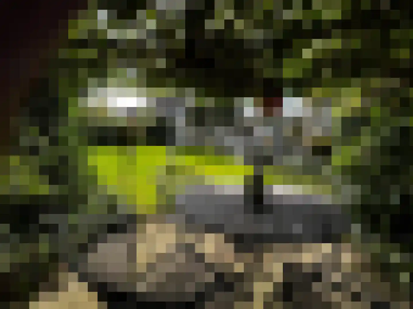 Van Driellaan 7 Huizen thumbnail 29