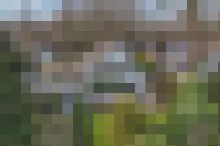 Van Driellaan 7 Huizen thumbnail 31