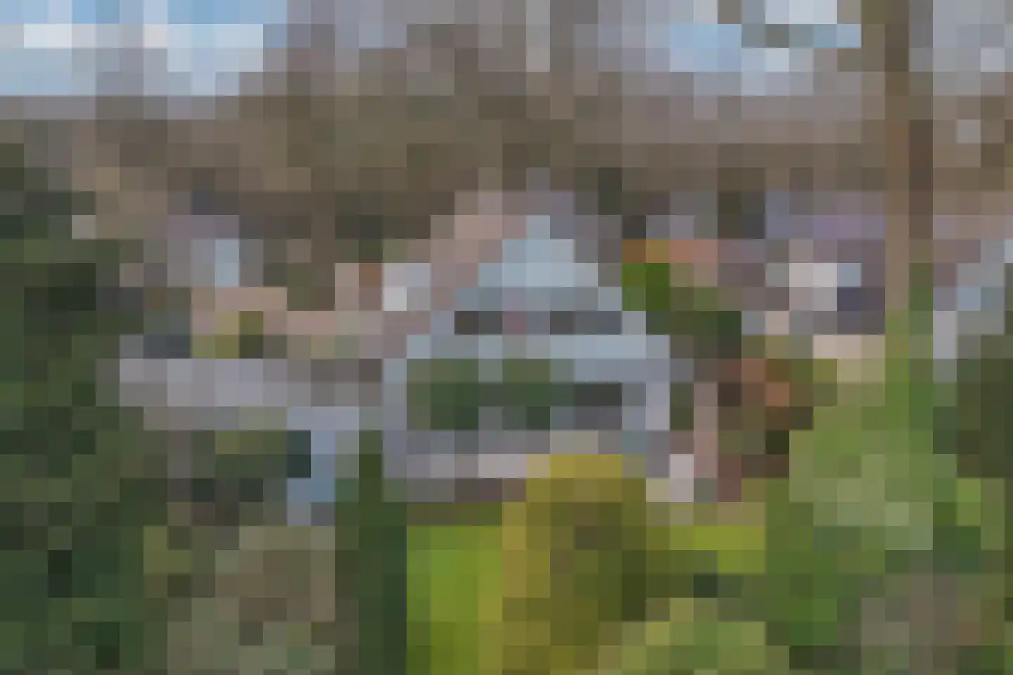 Van Driellaan 7 Huizen thumbnail 31