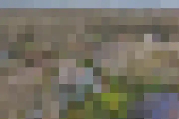Van Driellaan 7 Huizen thumbnail 32