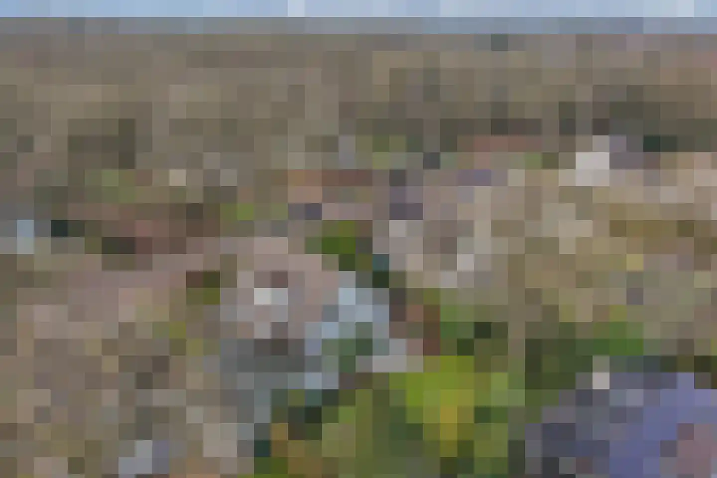 Van Driellaan 7 Huizen thumbnail 32