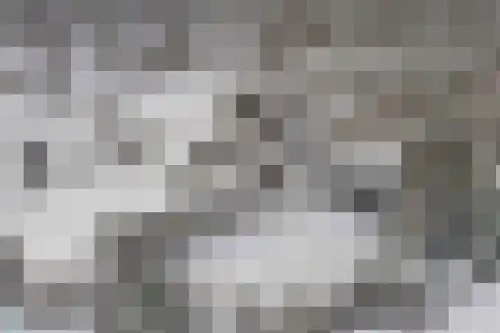 Van Driellaan 7 Huizen thumbnail 33