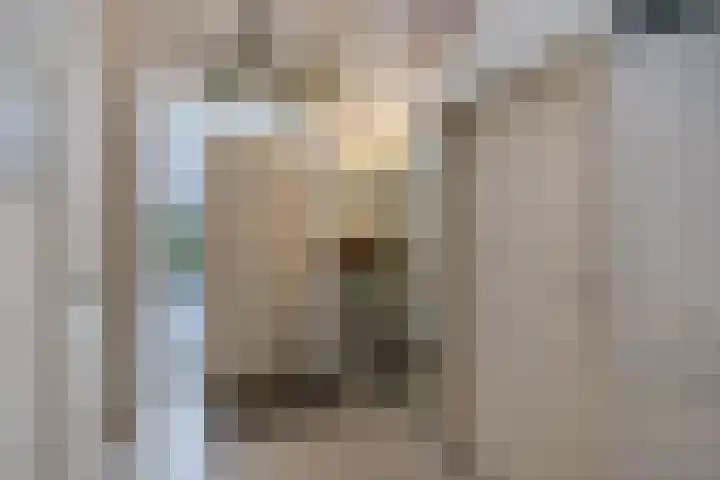 Van Driellaan 7 Huizen thumbnail 4