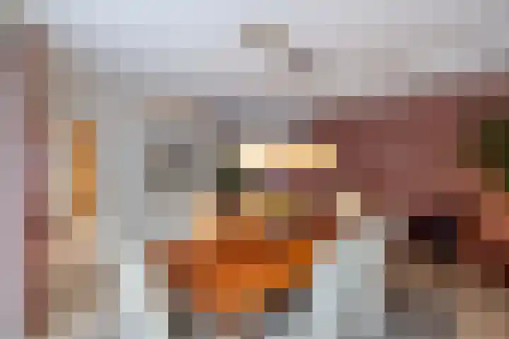 Van Driellaan 7 Huizen thumbnail 8
