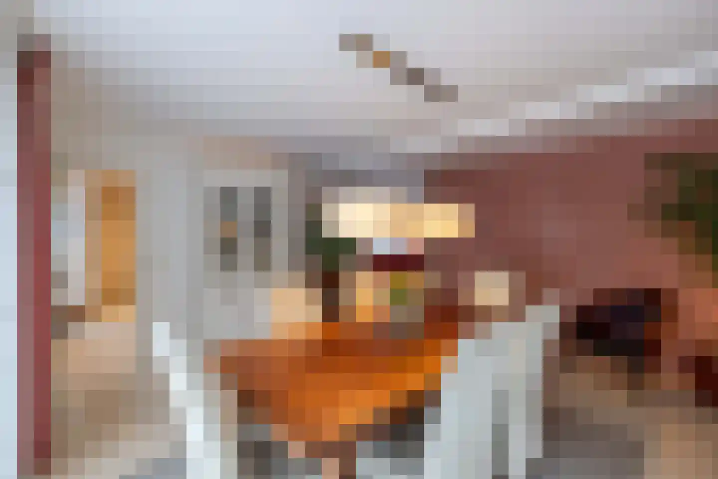 Van Driellaan 7 Huizen thumbnail 8