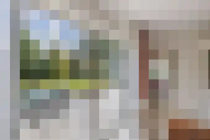 Van Driellaan 7 Huizen thumbnail 9