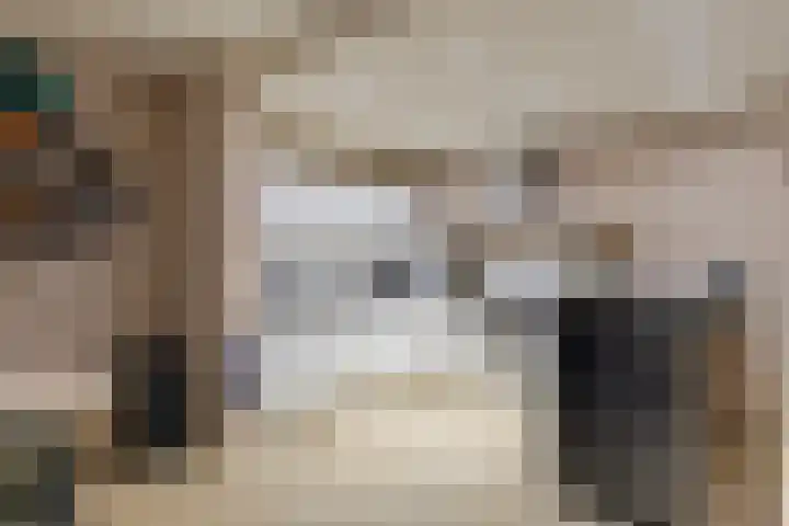 Van Drielstlaan 3 Groningen thumbnail 12