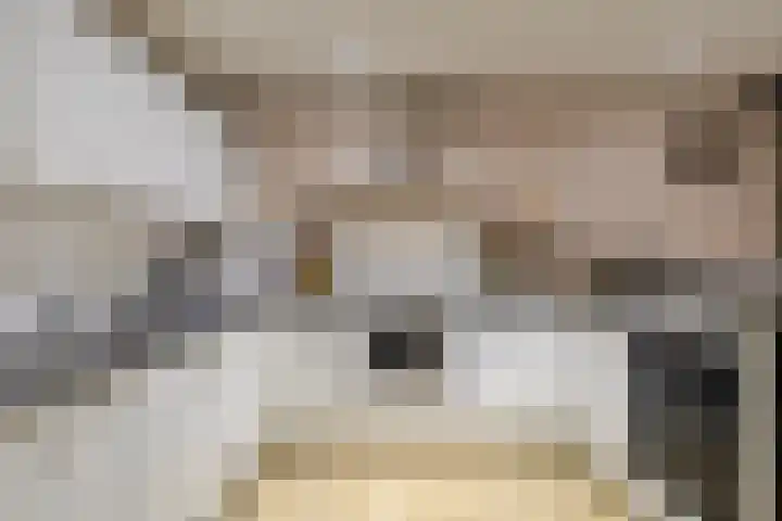 Van Drielstlaan 3 Groningen thumbnail 14