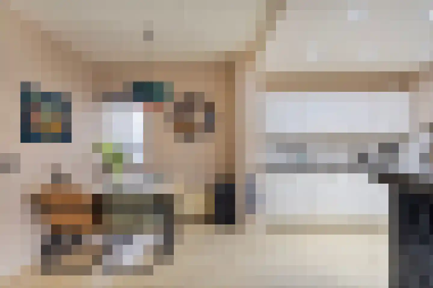 Van Drielstlaan 3 Groningen thumbnail 25